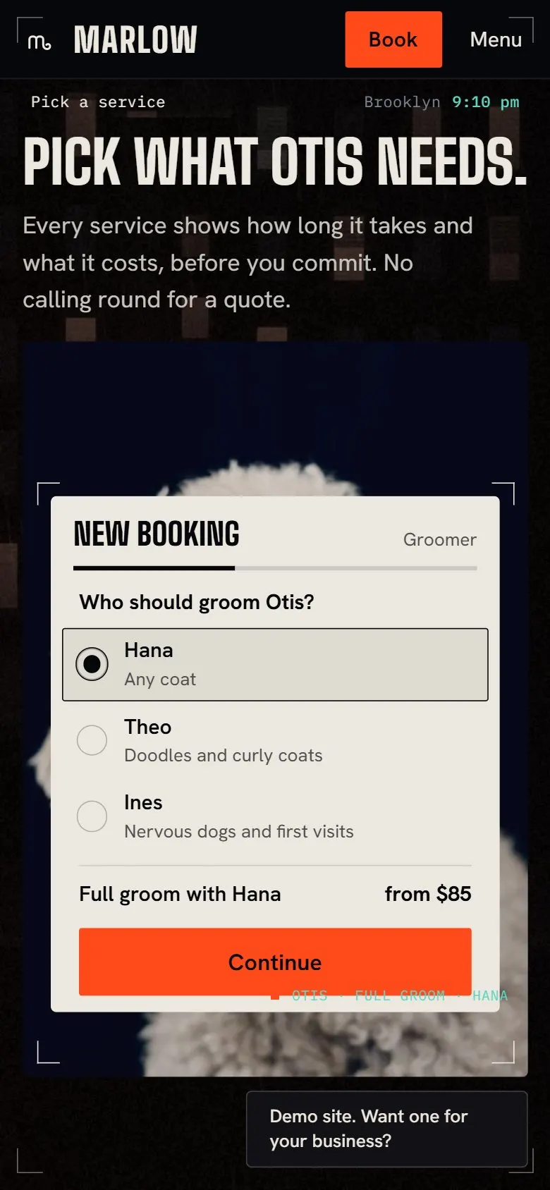 Choosing a service on a phone